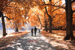 热门比赛开打，球迷们的热情高涨