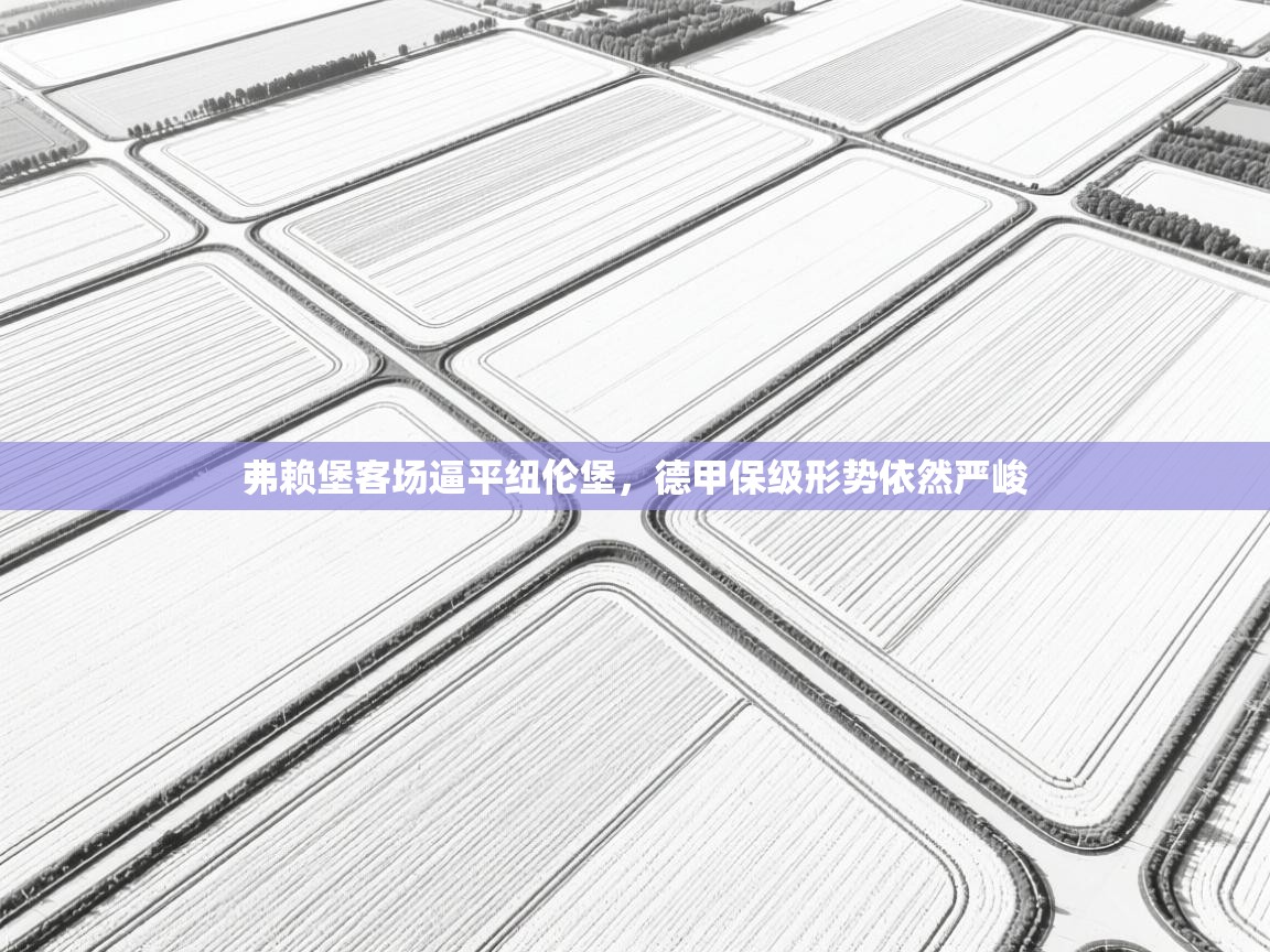 弗赖堡客场逼平纽伦堡，德甲保级形势依然严峻