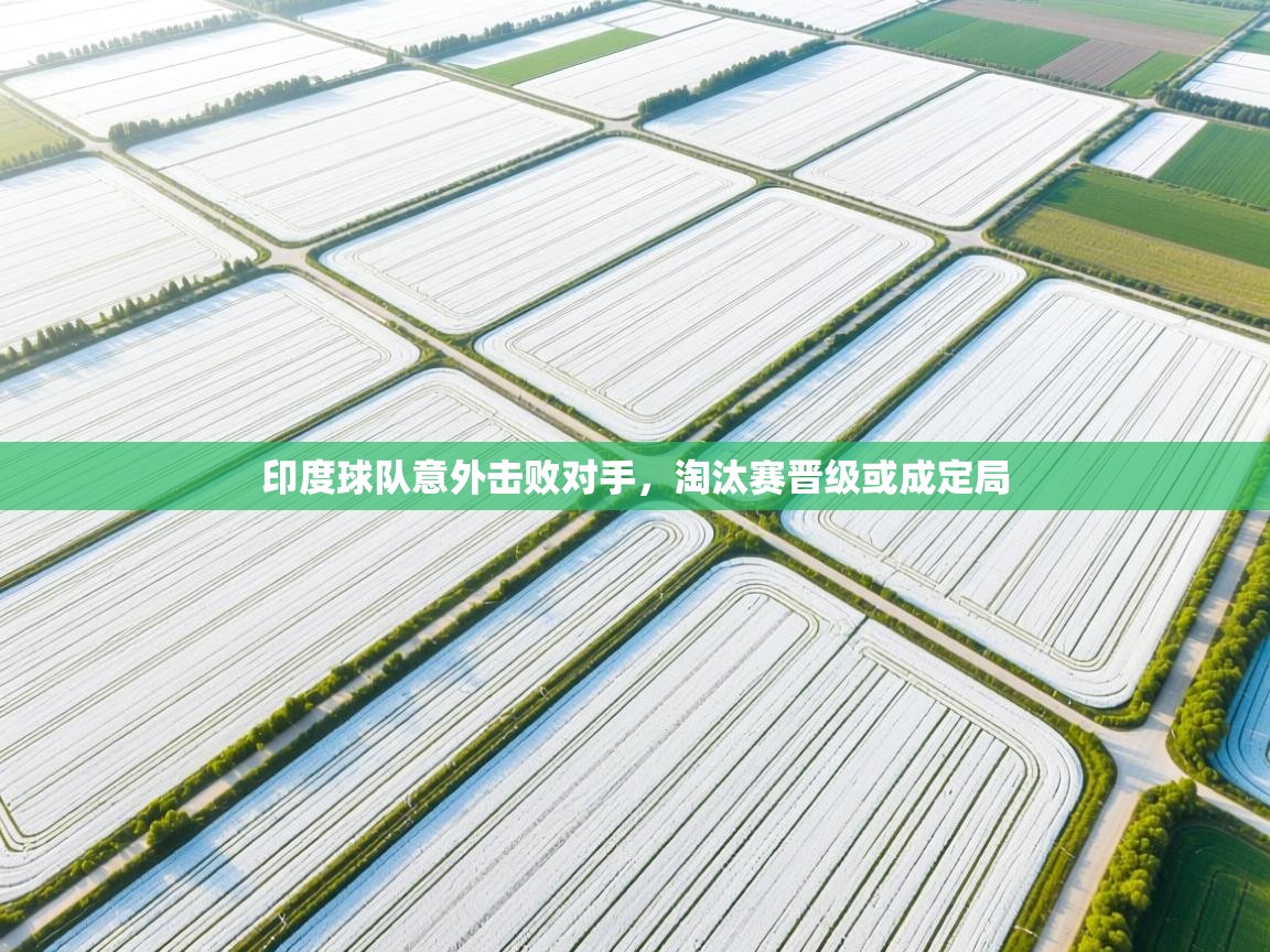 印度球队意外击败对手，淘汰赛晋级或成定局  第2张