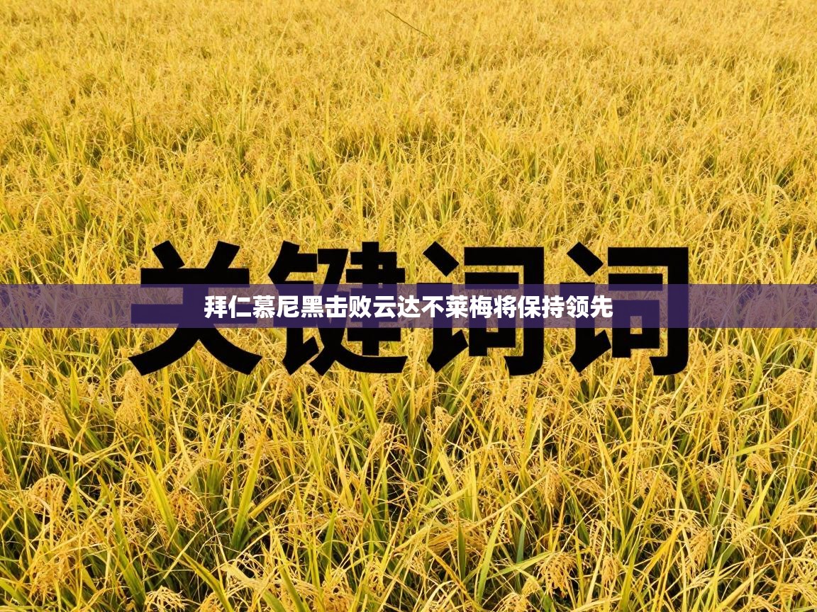 拜仁慕尼黑击败云达不莱梅将保持领先  第2张