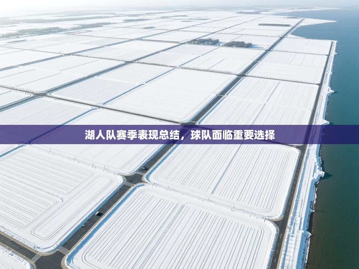 湖人队赛季表现总结，球队面临重要选择  第2张